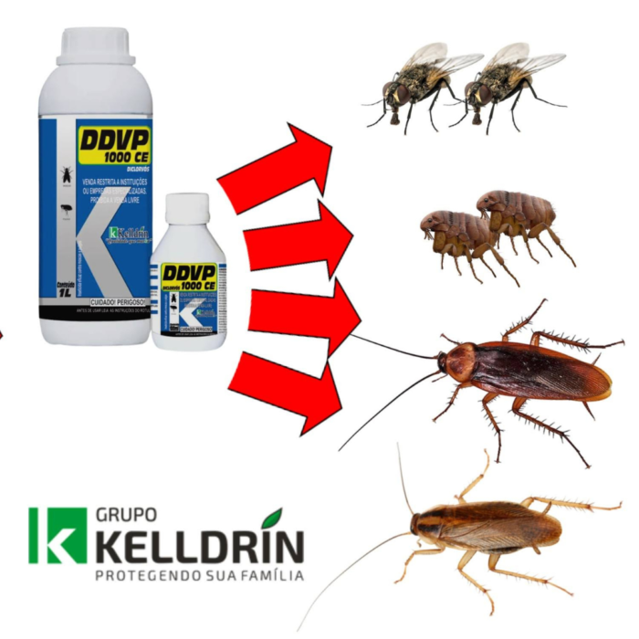 DDVP 1000 CE 100 ML - Imagem 3