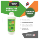 GRAMIZAP IMAZAPIR MAX 20-1/20 1000 ML