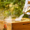 FUMIGADOR PARA APICULTURA