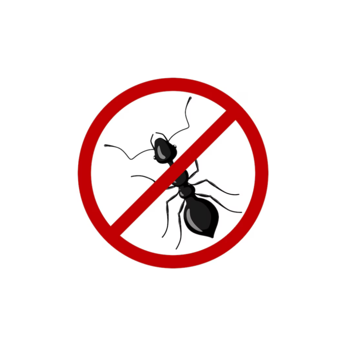 MALATHION 100 ML DIPIL - Imagem 4
