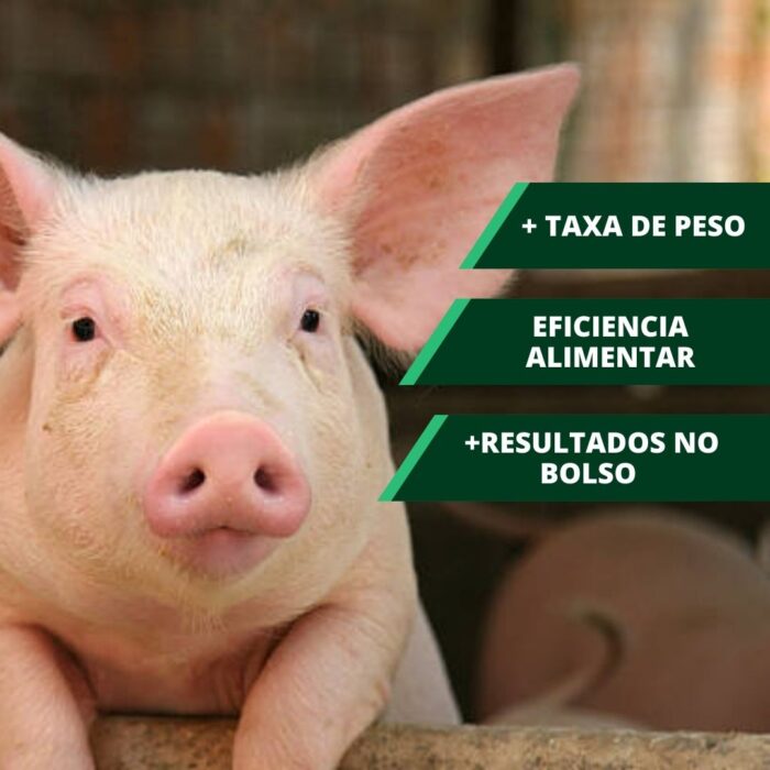 RACTOMAX SAUVET BOLSA 25 KG - Imagem 4