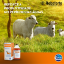 ROBOFORTE 250 ML CEVA