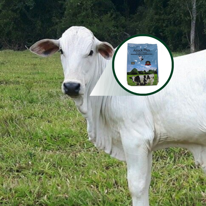 ATTAK PLUS GADO LIMPO PÓ 500 GRAMA - Imagem 3