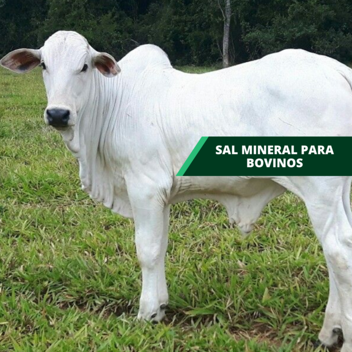 ZUMM 10 KG VILAVET - Imagem 2