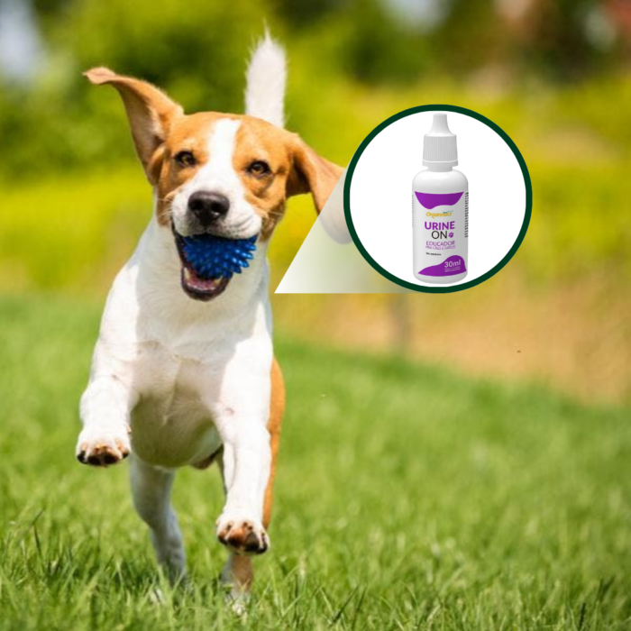 URINE ON 30 ML - Imagem 2
