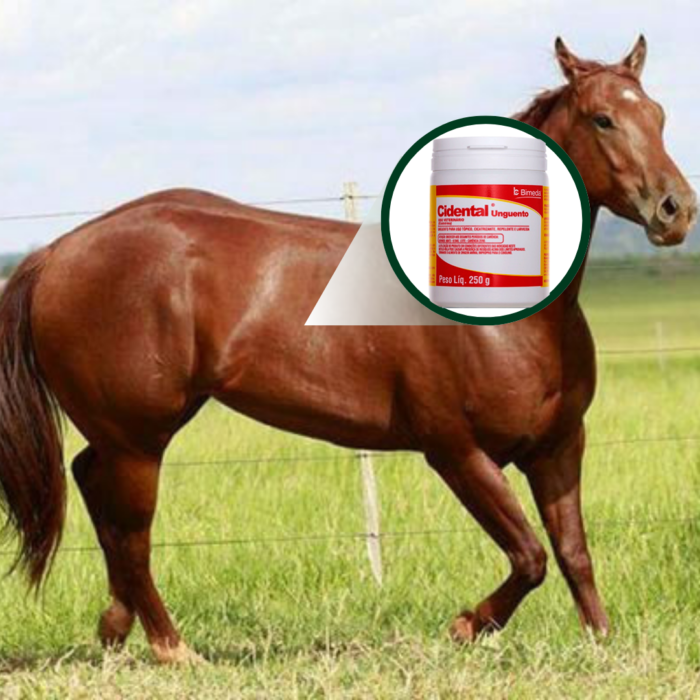 UNGUENTO CIDENTAL 250 GR