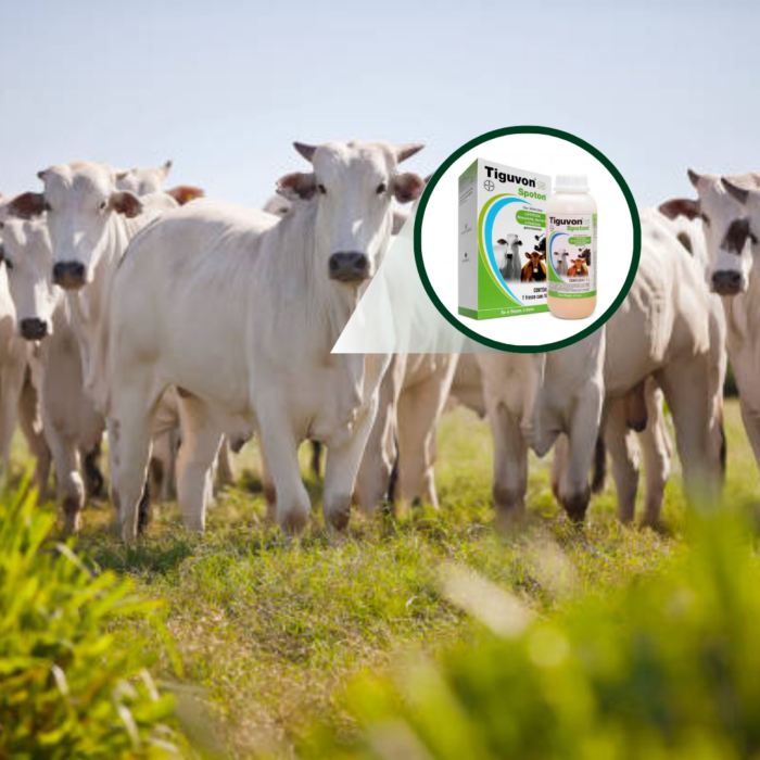 TIGUVON 15 SPOTON 1000 ML - Imagem 3