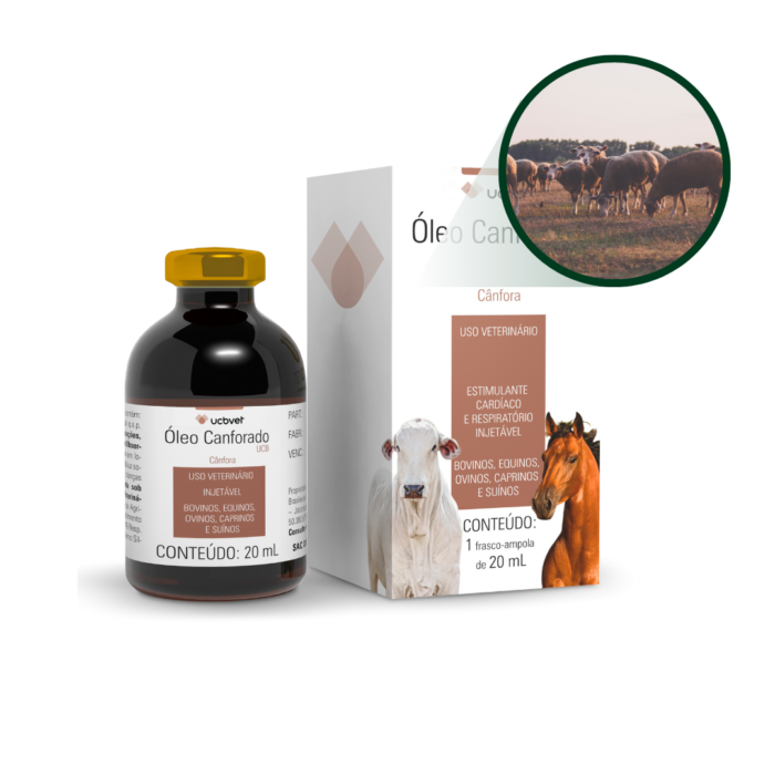 OLEO CANFORADO UCB 20 ML - Imagem 2