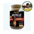 MUSCLE HORSE TURBO 2,5KG