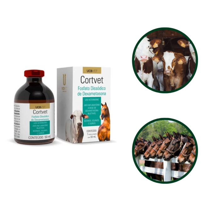 CORTVET 50 ML - Imagem 2