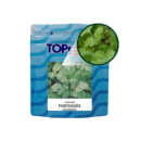 SEMENTE COENTRO PORTUGUES GARDEM 250 G TOPSSED