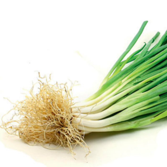SEMENTE CEBOLINHA EVERGREEN 50 GR LATA FELTRIN - Imagem 4