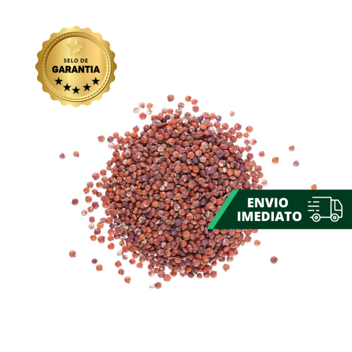SEMENTE BETERRABA RUBRA LATA 10 MX FELTRIN