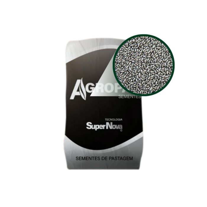 SEMENTE ARUANA AGROPAN 10 KG GRAFITA - Imagem 2