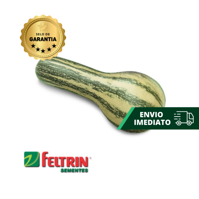SEMENTE ABÓBORA GOIANINHA  100 GR LATA FELTRIN