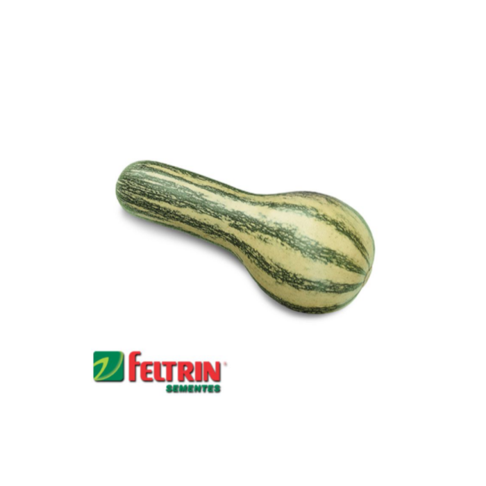SEMENTE ABÓBORA GOIANINHA  100 GR LATA FELTRIN - Imagem 4