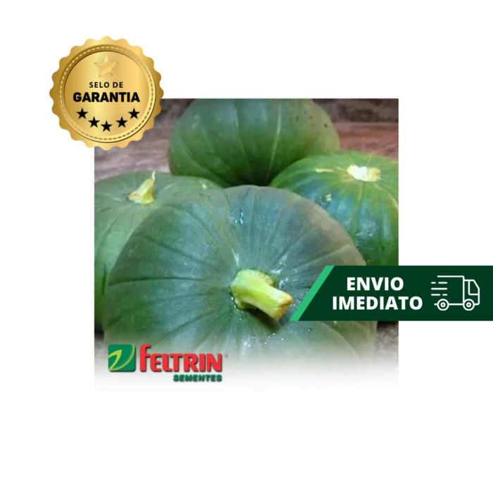 SEMENTE ABÓBORA DE TRONCO R. VERDE 100 GR LATA FELTRIN