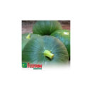 SEMENTE ABÓBORA DE TRONCO R. VERDE 100 GR LATA FELTRIN