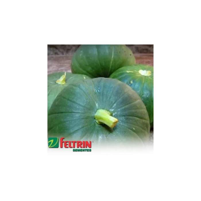 SEMENTE ABÓBORA DE TRONCO R. VERDE 100 GR LATA FELTRIN - Imagem 4