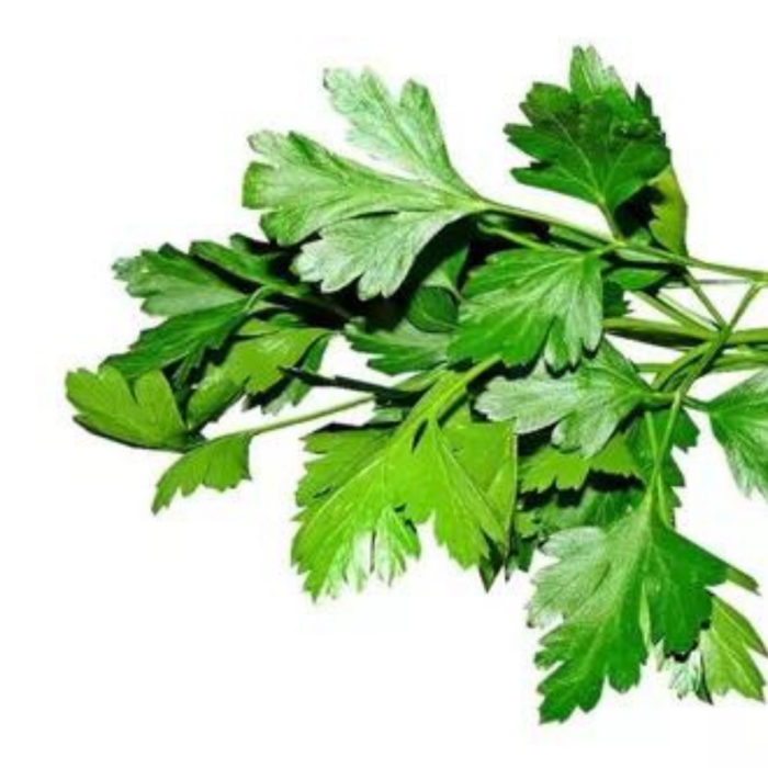 SALSA LISA COMUM 50 GR FELTRIN - Imagem 5