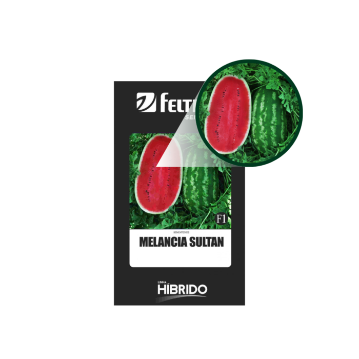 MELANCIA SULTAN 1 MX HIBL. - Imagem 2