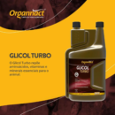 GLICOL TURBO - 5 LITROS