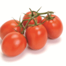 TOMATE DOLBY 1MX (1000 SEMENTE) FELTRIN