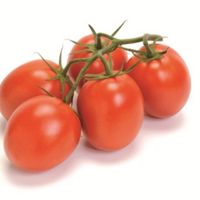 TOMATE DOLBY 1MX (1000 SEMENTE) FELTRIN - Imagem 3