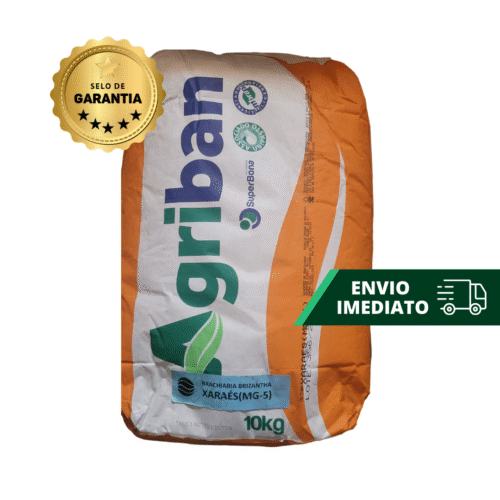 SEMENTES BRIZANTANHA XARAES MG 5 10 KG