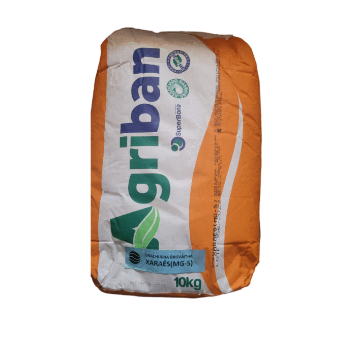 SEMENTES BRIZANTANHA XARAES MG 5 10 KG - Imagem 2