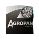SEMENTES BRIZANTANHA PIATA 10 KG AGROPAN