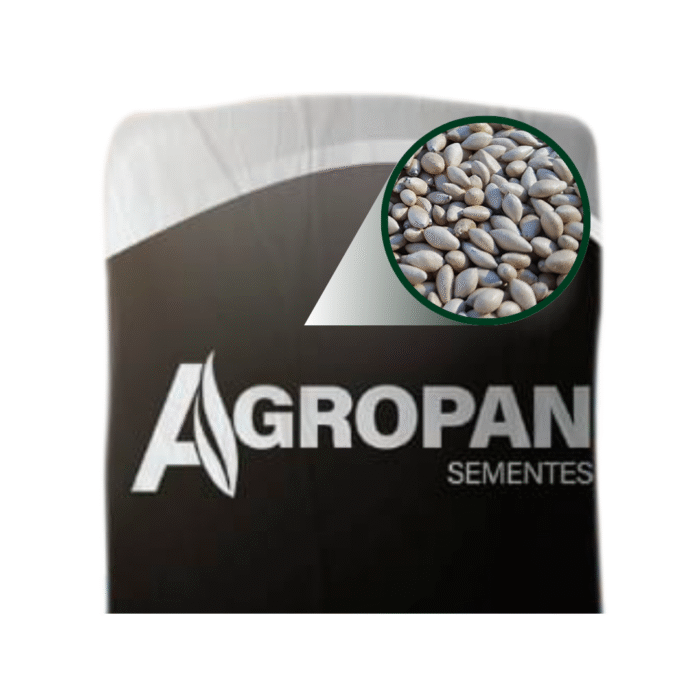 SEMENTES BRIZANTANHA PIATA 10 KG AGROPAN