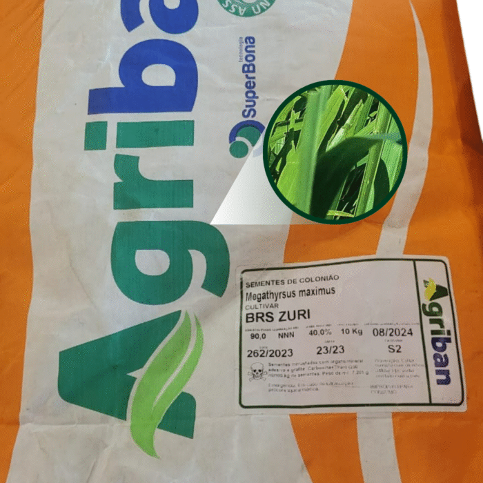 SEMENTE ZURI GRAFITADA 12 KG SAFRASUL - Imagem 3