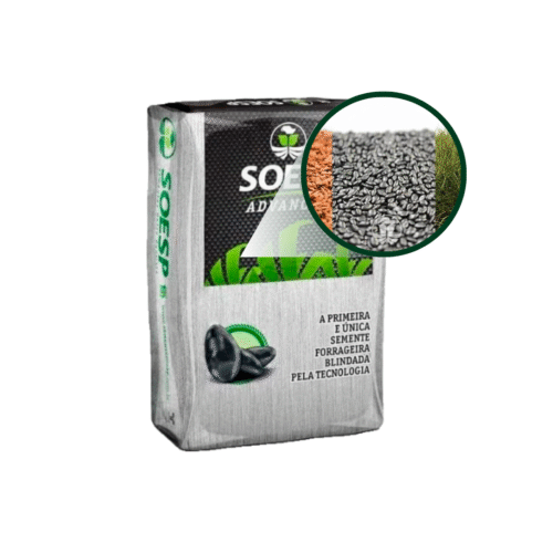 SEMENTE SOESP DECUMBENS 10 KG