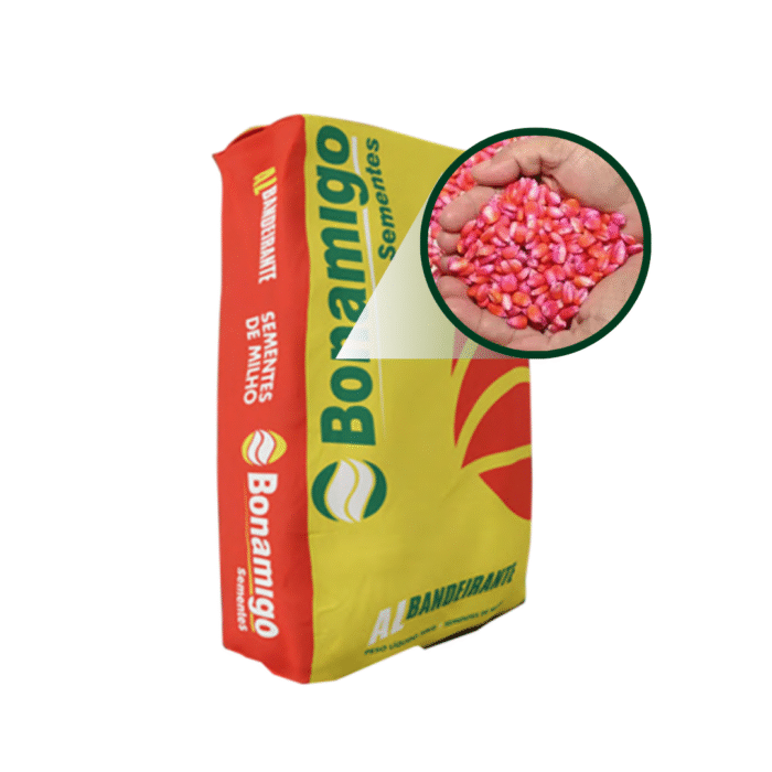 SEMENTE DE MILHO AL BANDEIRANTE SACO 20 KG - BONAMIGO - Imagem 3