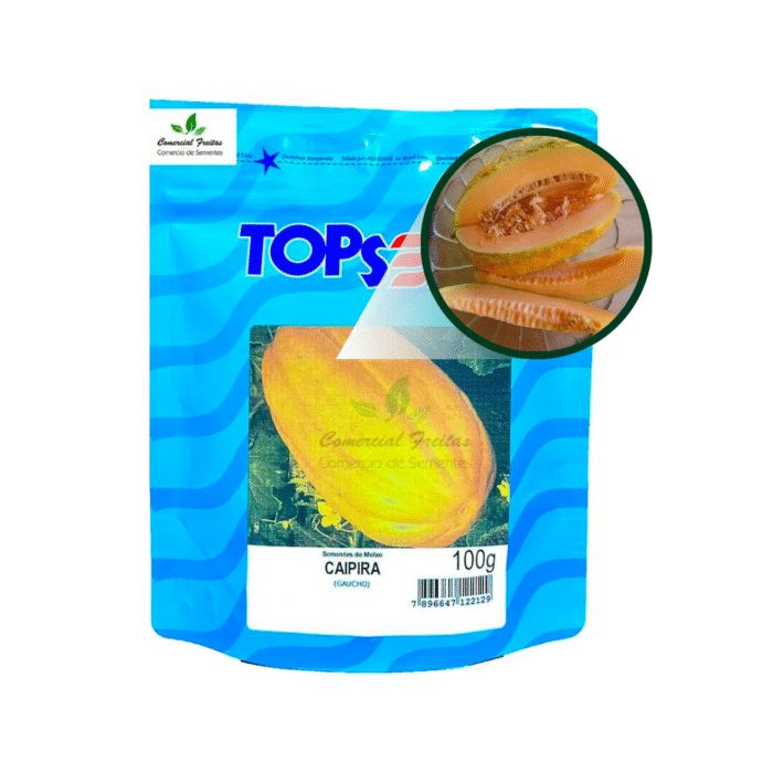 SEMENTE MELÃO CAIPIRA 100 GR TOPSEED - Imagem 5