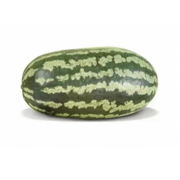 SEMENTE MELANCIA FAIRFAX 50 G TOPSEED - Imagem 2