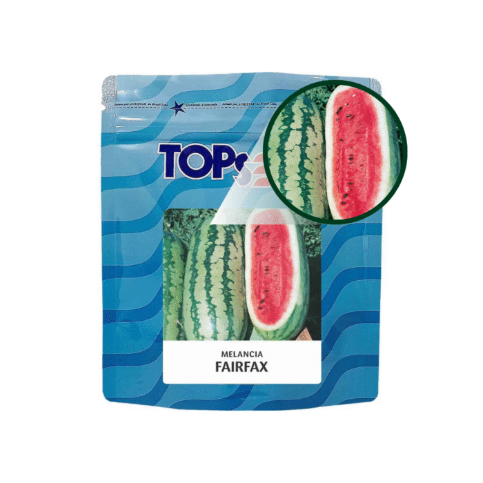 SEMENTE MELANCIA FAIRFAX 100 G TOPSEED - Imagem 2