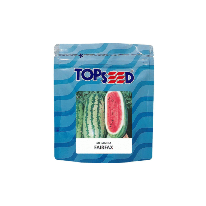 SEMENTE MELANCIA FAIRFAX 100 G TOPSEED - Imagem 3