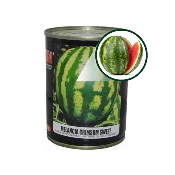 SEMENTE MELANCIA CRIMSON SWEET 100 GR LATA FELTRIN - Imagem 2