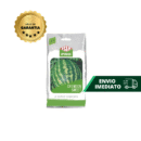 SEMENTE MELANCIA CRIMSON HIBRIDA 100 G ISLA