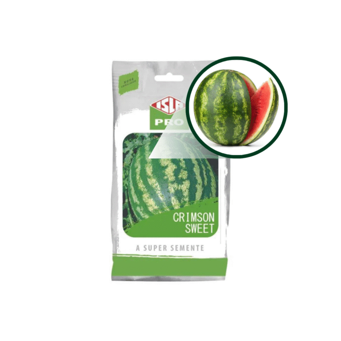 SEMENTE MELANCIA CRIMSON HIBRIDA 100 G ISLA - Imagem 2