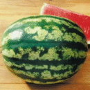 SEMENTE MELANCIA CRIMSON HIBRIDA 100 G ISLA