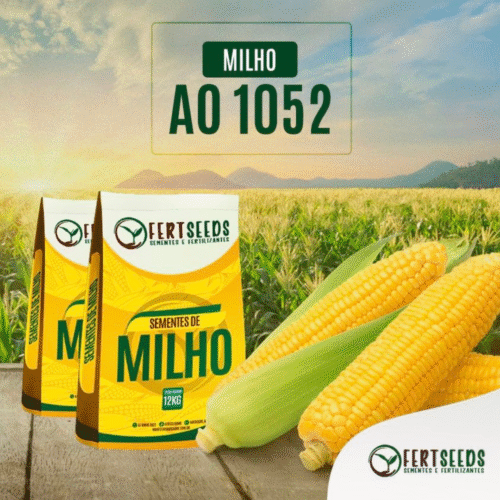 SEMENTE DE MILHO HIBRIDO AO 1052