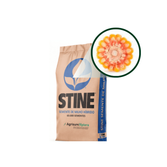 SEMENTE DE MILHO HÍBRIDO 9504 VIP3 – STINE - Imagem 2