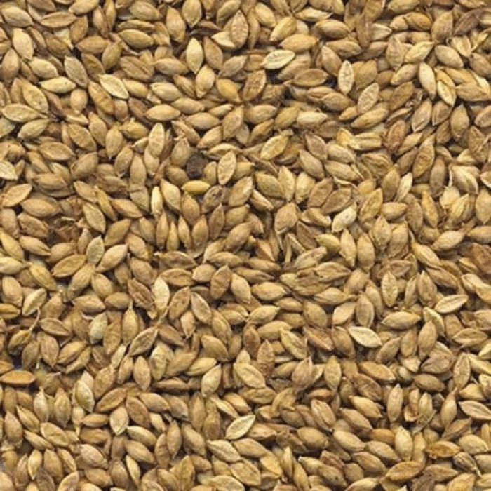 SEMENTE DE BRIZANTHA - MARANDU 10 KG AGROPAN - Imagem 3