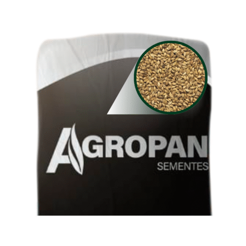 SEMENTE DE BRIZANTHA - MARANDU 10 KG AGROPAN
