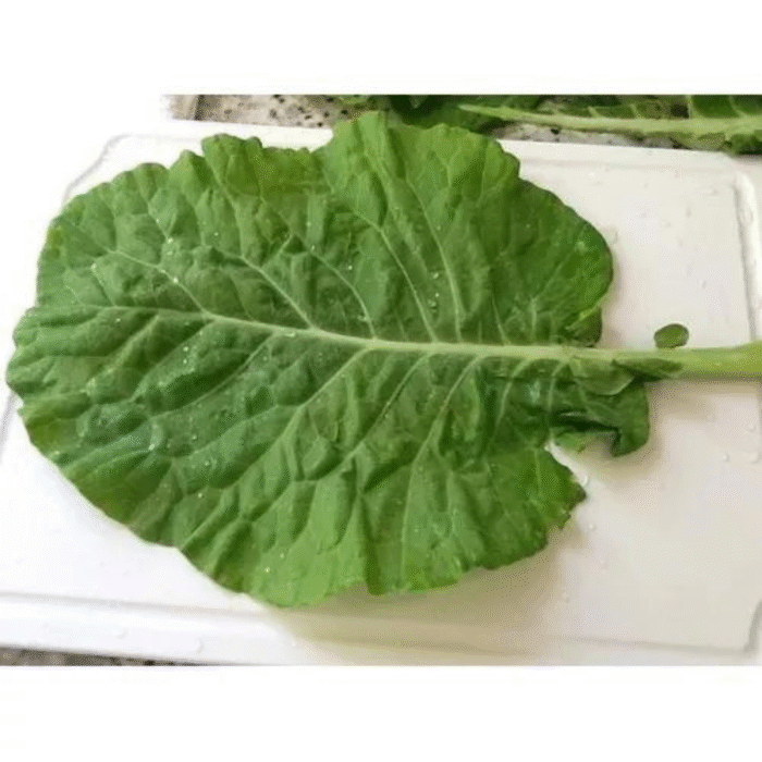 SEMENTE COUVE MANTEIGA 100 GR LATA FELTRIN - Imagem 3