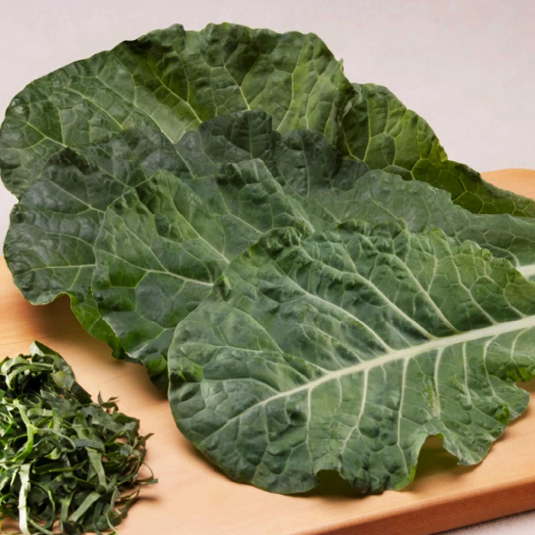 COUVE GAUDINA - 1000 SEMENTE - FELTRIN - Imagem 4