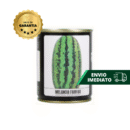 SEMENTE MELANCIA FAIRFAX 100 GR LATA FELTRIN